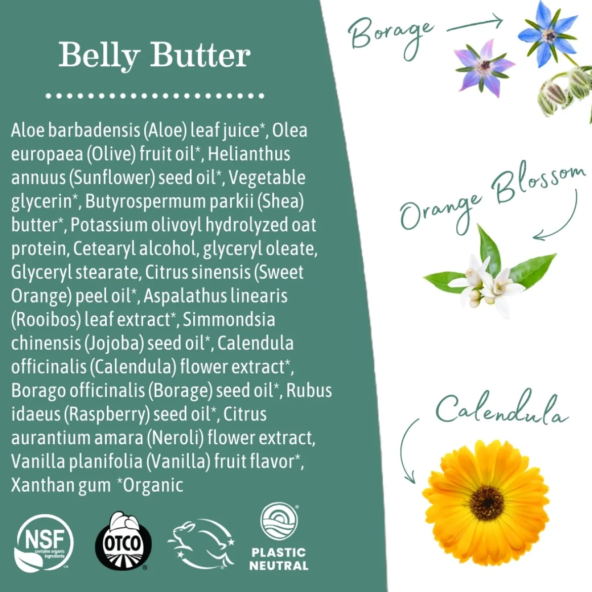 Belly Butter