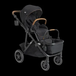 Chive Single to Double Stroller