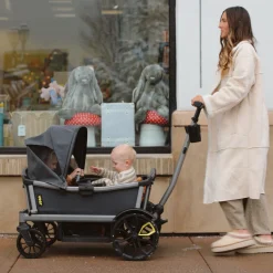 Cruiser Wagon Retractable Canopy