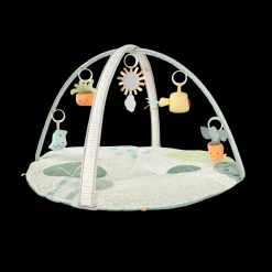Garden Oasis Activity Gym