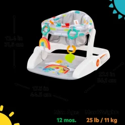 Learn-to-Sit 2-Position Baby Floor Seat