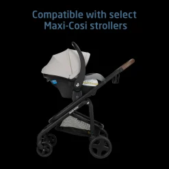 Mico Pro Infant Car Seat