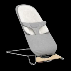 Mira 2-in-1 Bouncer and Seat