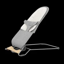 Mira 2-in-1 Bouncer and Seat
