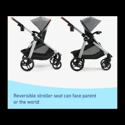 Modes Nest2Grow Stroller & SnugRide SnugFit Infant Car Seat