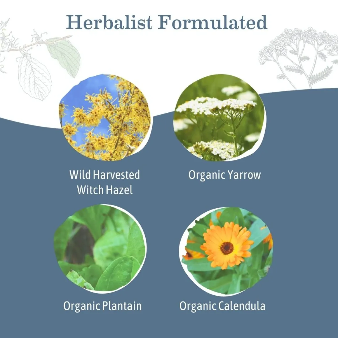 Organic Herbal Sitz Bath (Pack of 6)