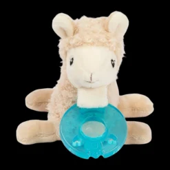 Pacifier