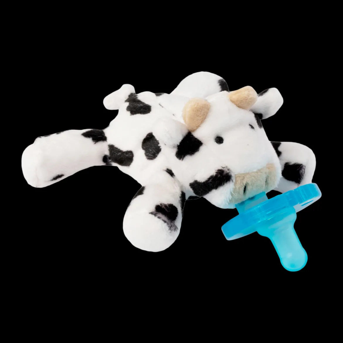 Pacifier