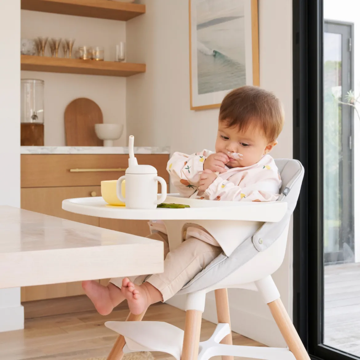 Smock Bib