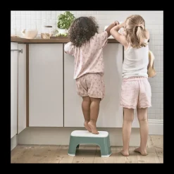 Step Stool