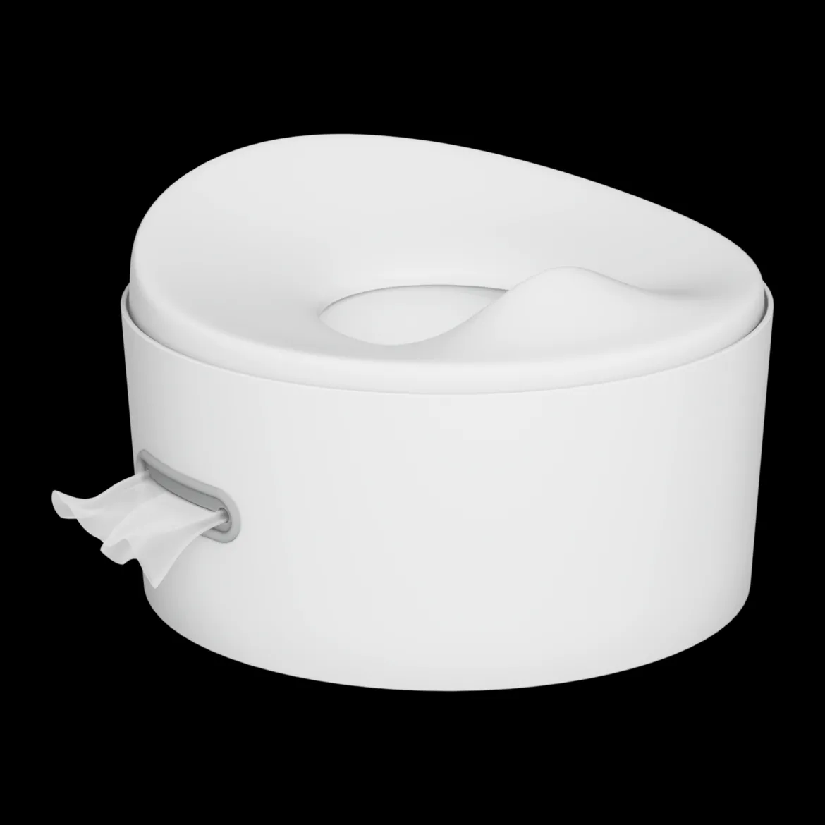 The 3-in-1 Potty
