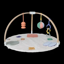 The Play Gym II