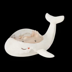 Tranquil Whale