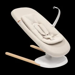 Yoga 2-in-1 Swing and Bouncer